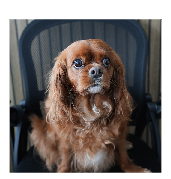 Max